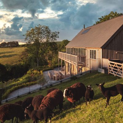 Gitcombe Retreat with sheep