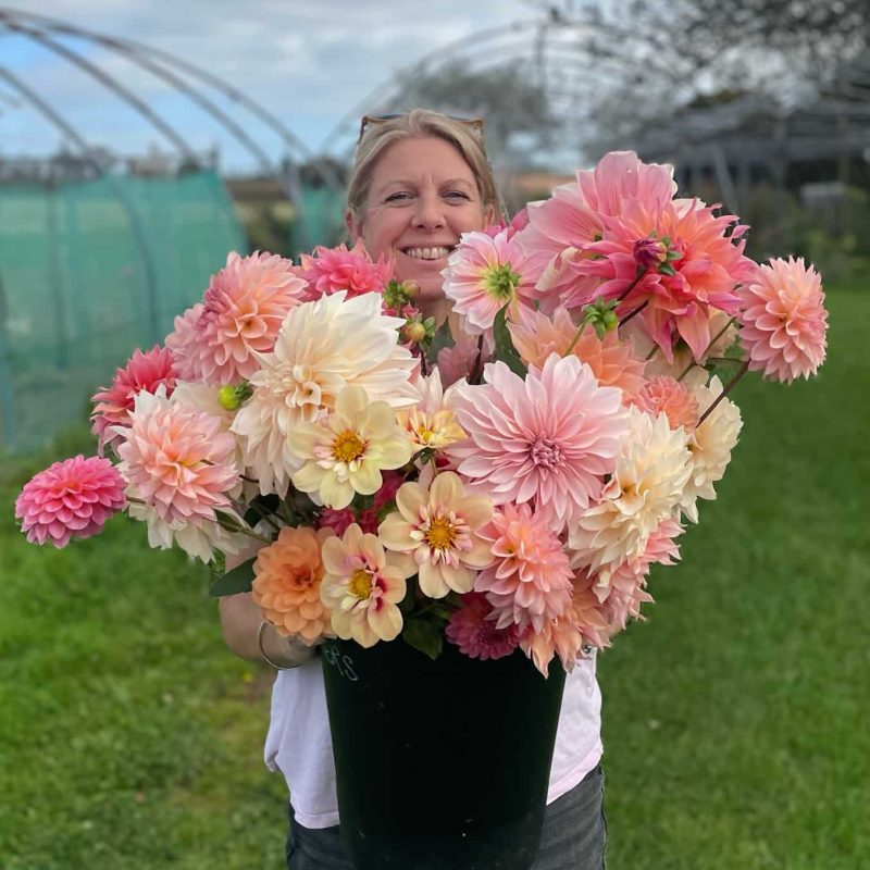 sophie-tucker-flowers